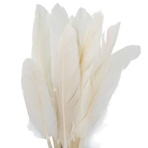Piórka lotki Czakos 15cm, Ecru